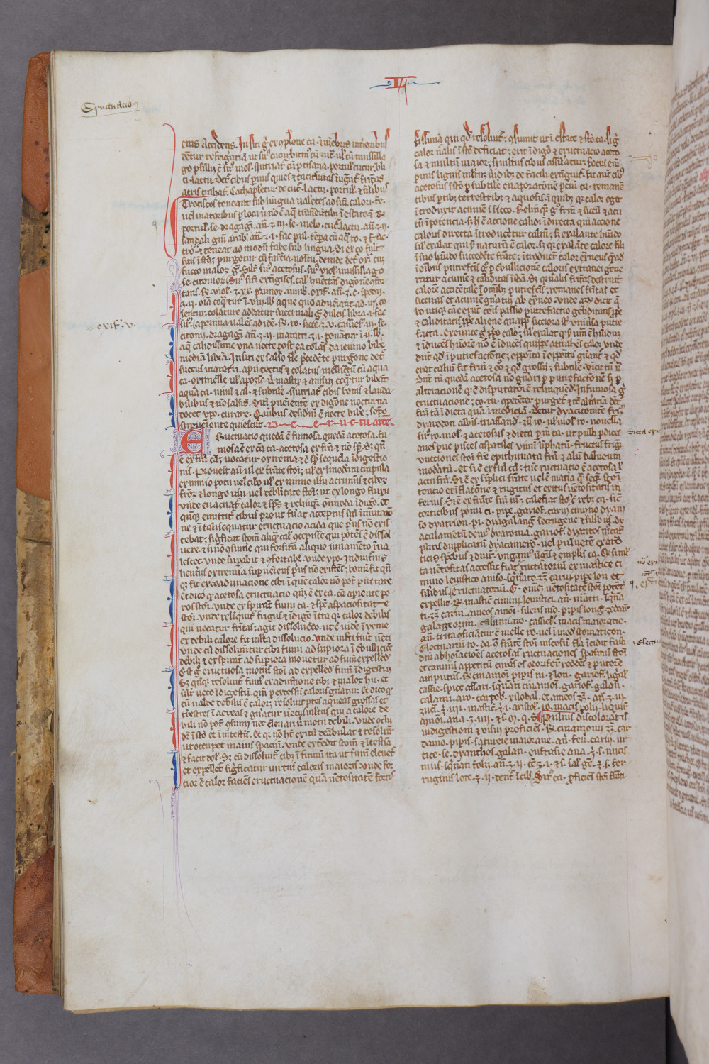 Folio 97 verso